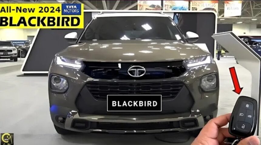 Tata Blackbird 2024